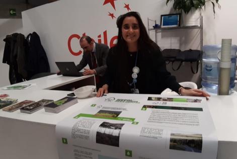 COP25