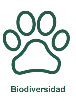 Conservación de la biodiversidad