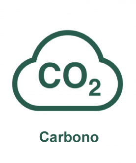 Secuestro y almacenamiento de carbono